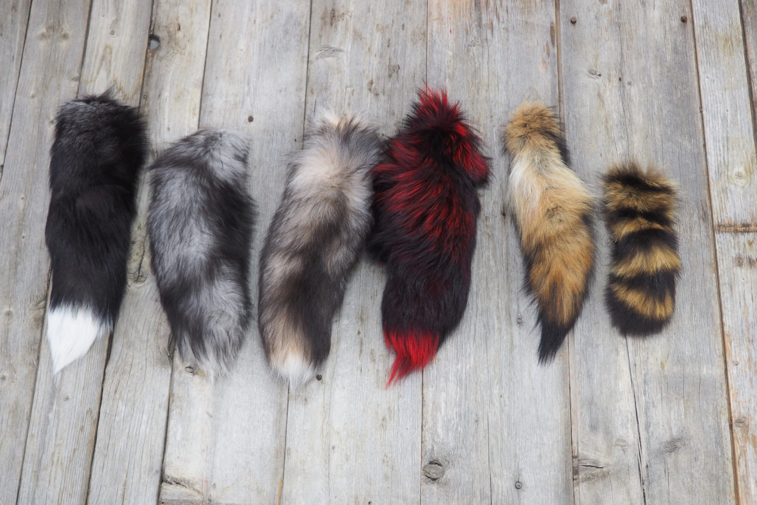 Fur Tails